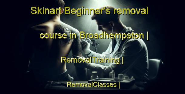 Skinart Beginner's removal course in Broadhempston | RemovalTraining | RemovalClasses | SkinartTraining-United Kingdom